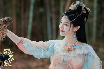 两心不疑