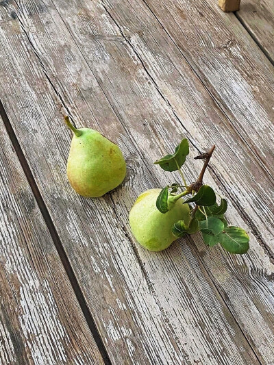 日常
光影在我眼前影影绰绰