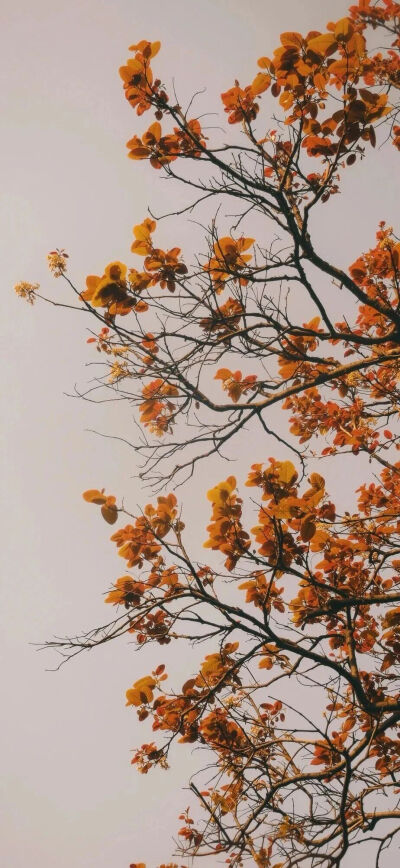 ，