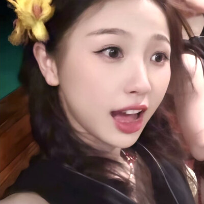 我不是月季不是芍药