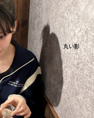 柳智敏