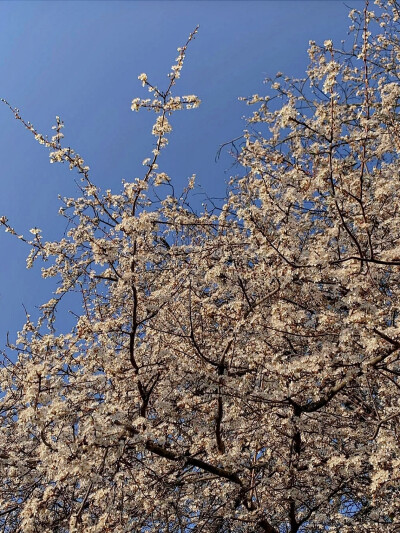 日常
停止的时间
