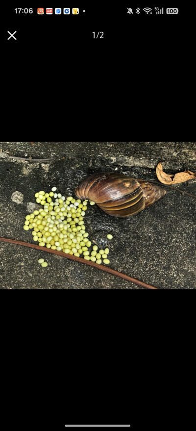 。