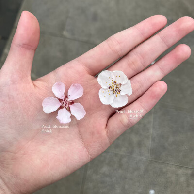 背景图