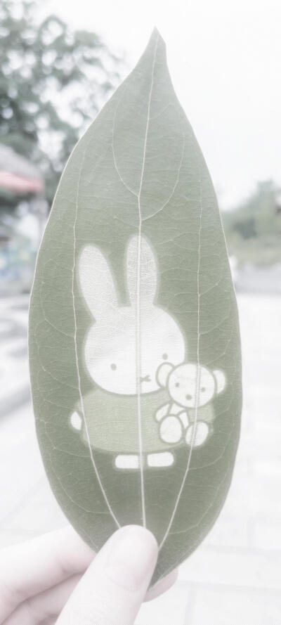 壁纸