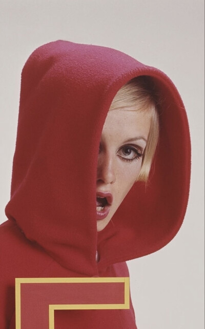 twiggy
