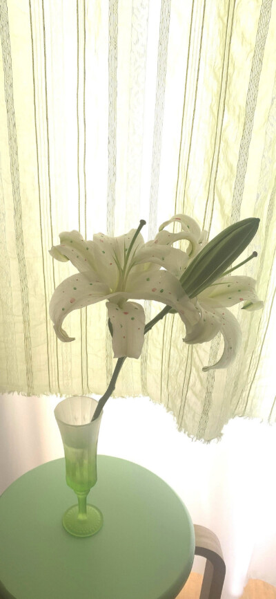 手机壁纸