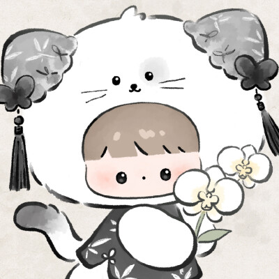 猫与蝴蝶兰壁纸