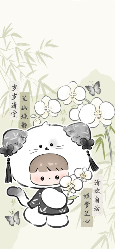 猫与蝴蝶兰壁纸