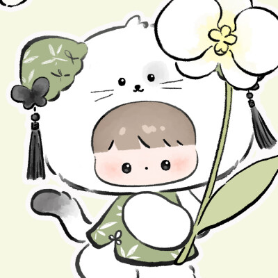 猫与蝴蝶兰壁纸