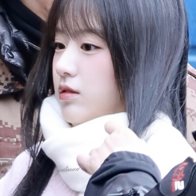 简简单单一只兔