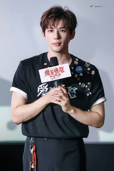王安宇