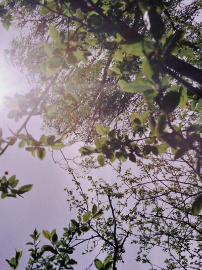 日常
留白