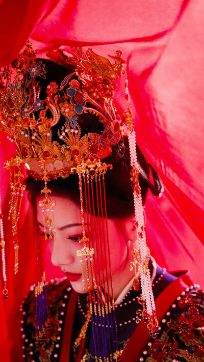 良陈美锦