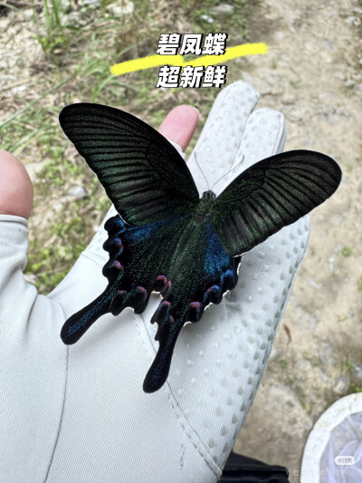 。