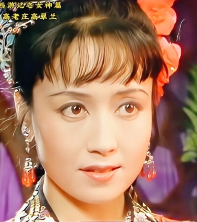 魏慧丽/高翠兰