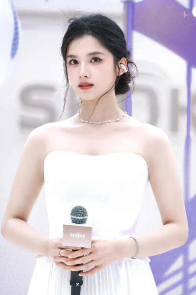 张婧仪
