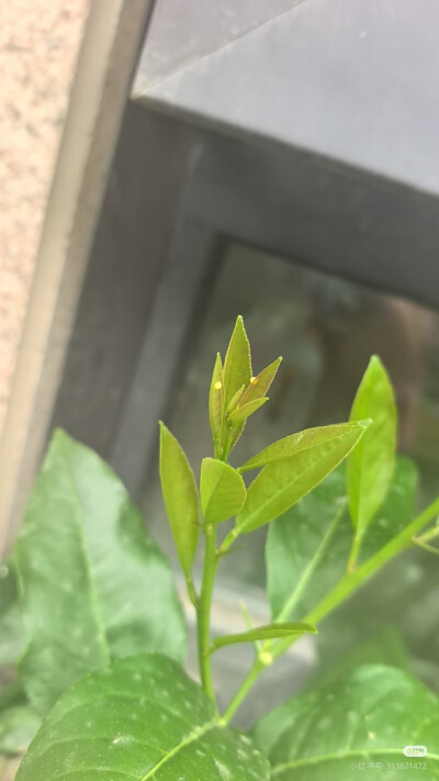 。