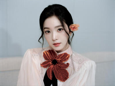 裴珠泫 irene