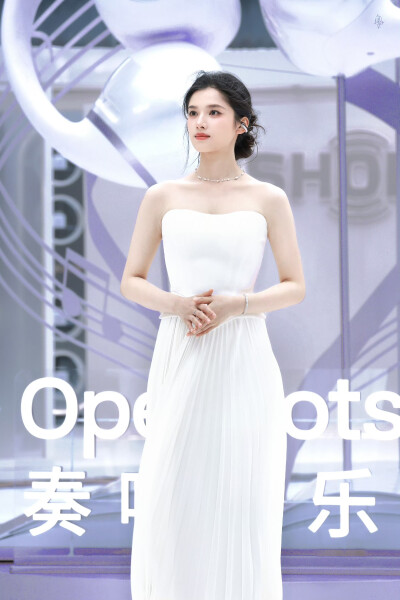 张婧仪
