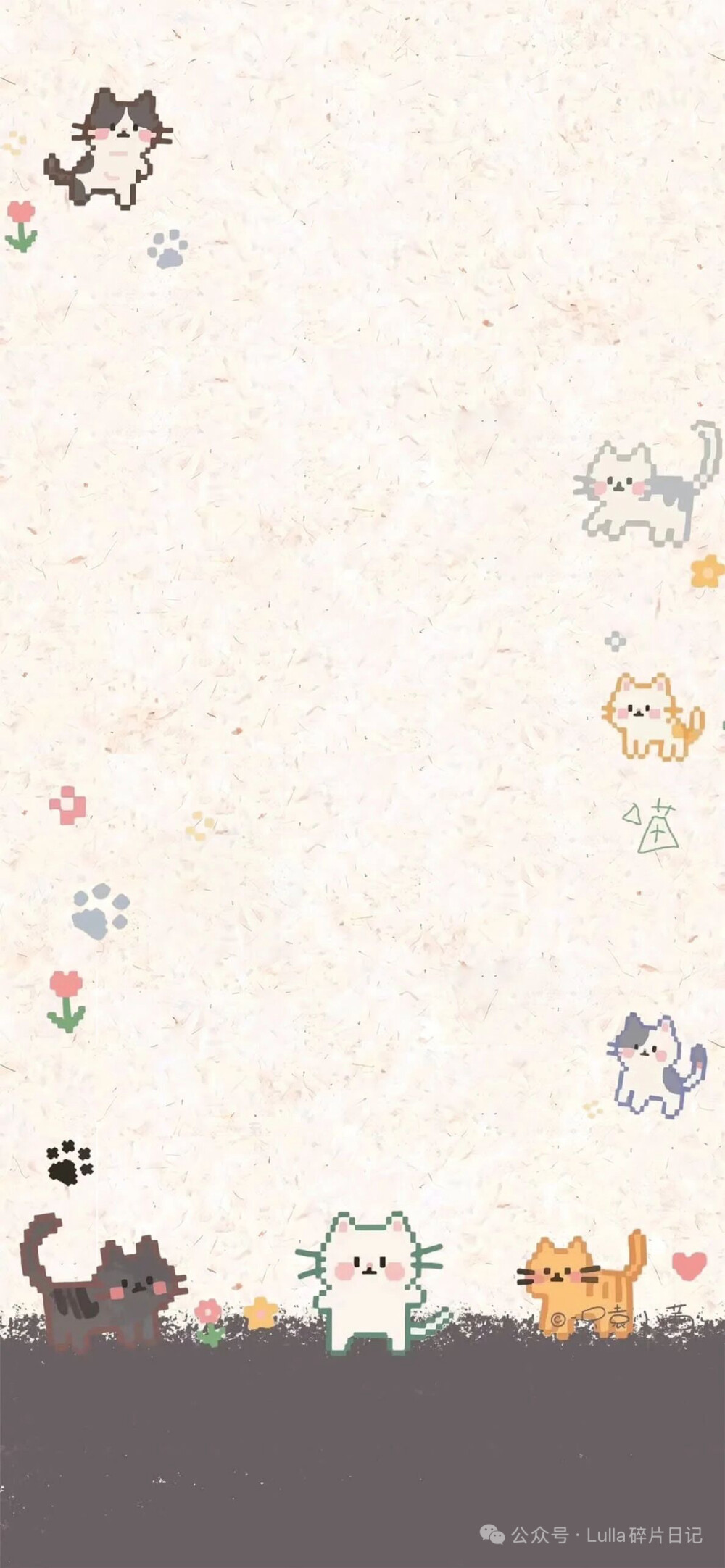 壁纸