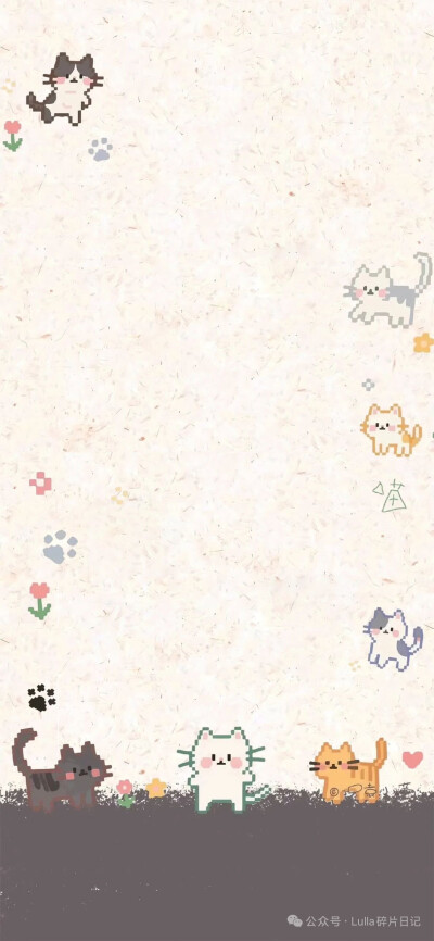 壁纸