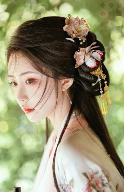 苏凝