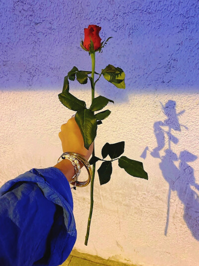 日常
月浸紫薇花