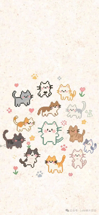 壁纸
