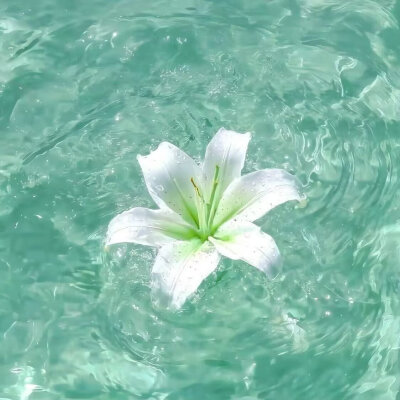 海洋青色系