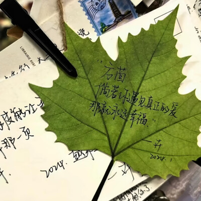 背景图