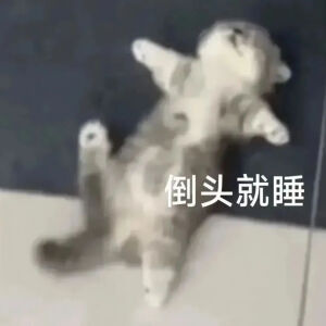 猫猫表情包