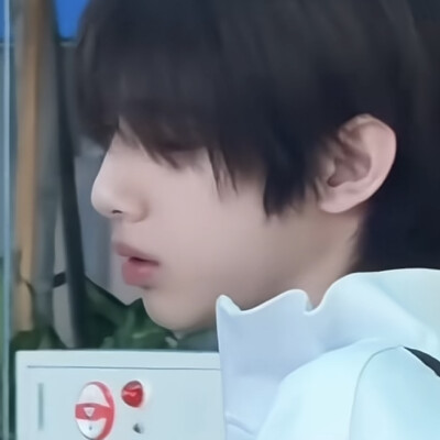 这里有六只猪
