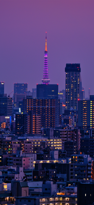 侵删