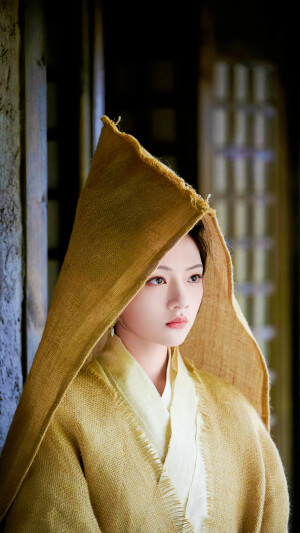 良陈美锦