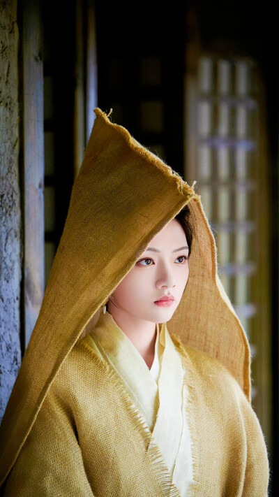 良陈美锦
