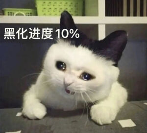 猫猫表情包