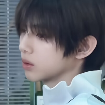 这里有六只猪
