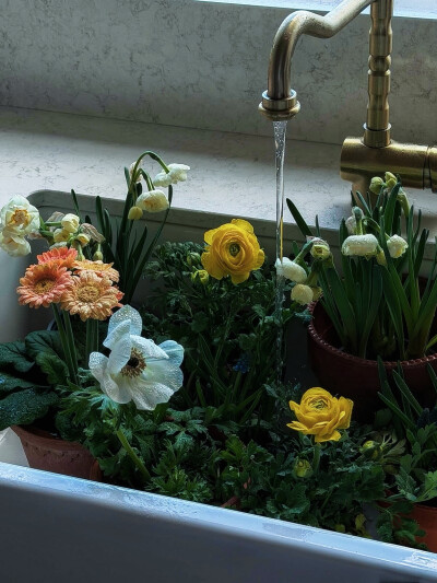 日常
所破歌
