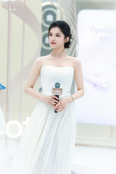 张婧仪