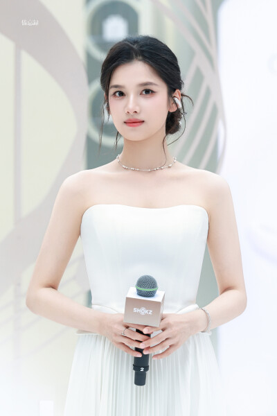 张婧仪