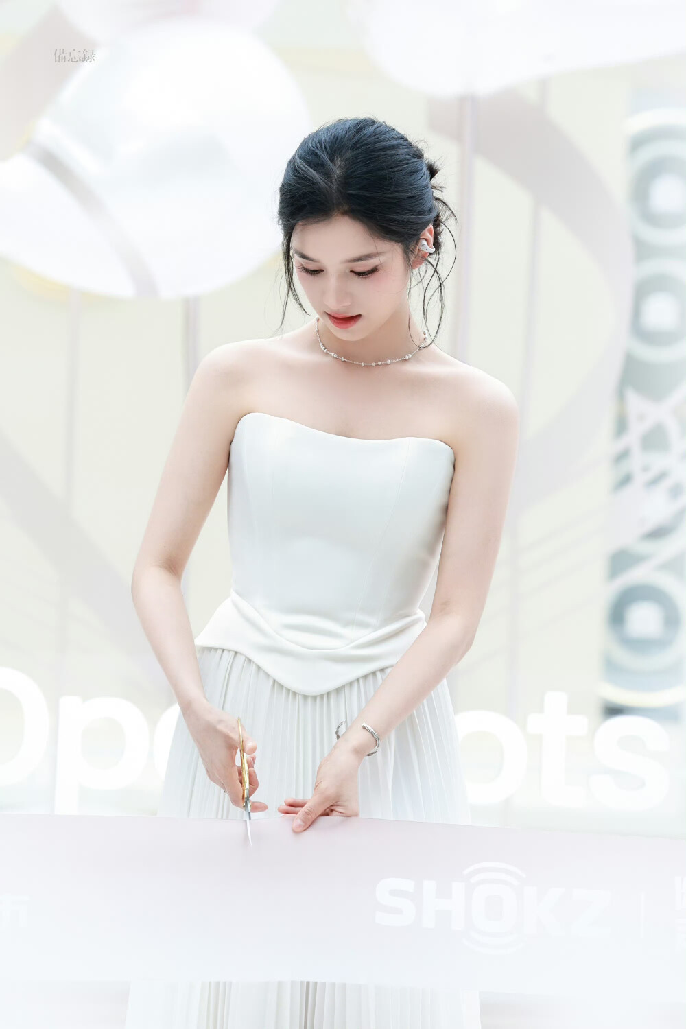 张婧仪