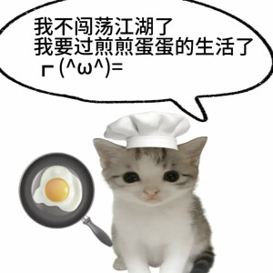 猫猫表情包