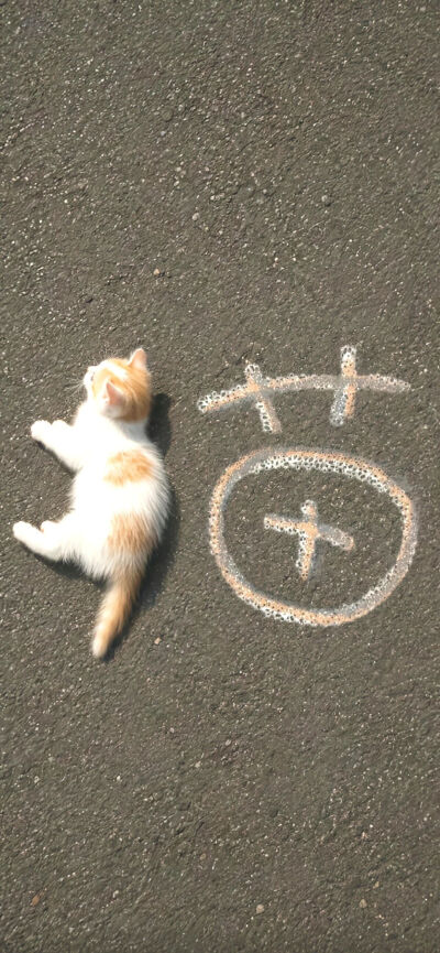 壁纸