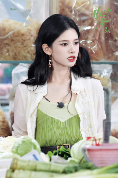张婧仪