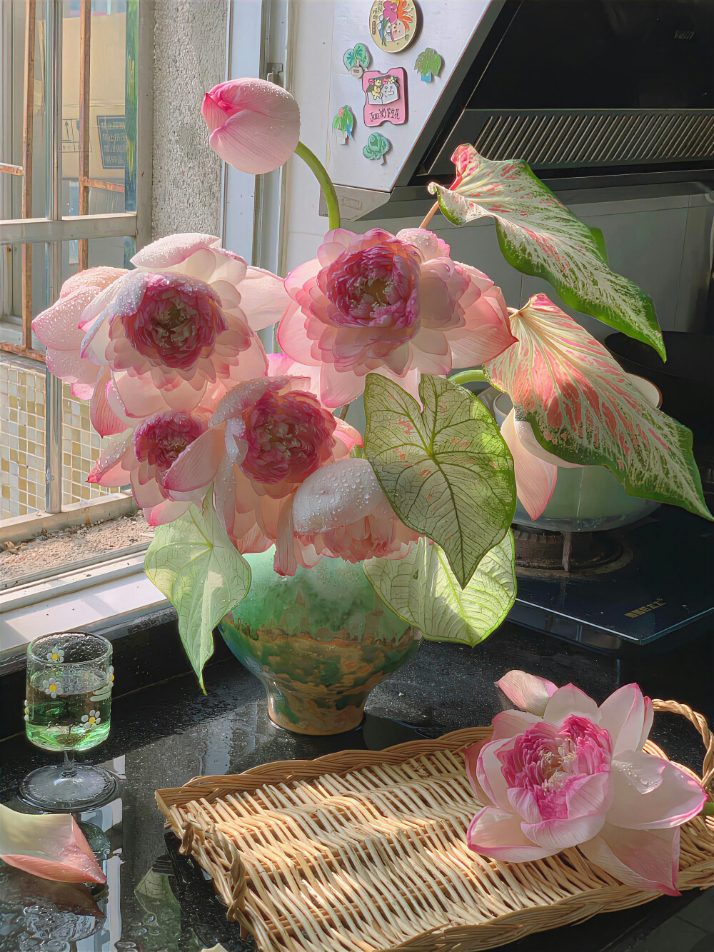荷花背景图