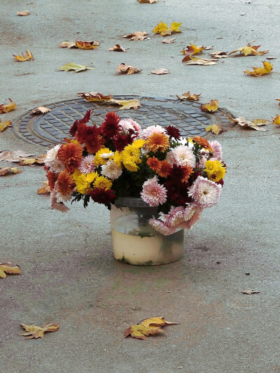 日常
鋫