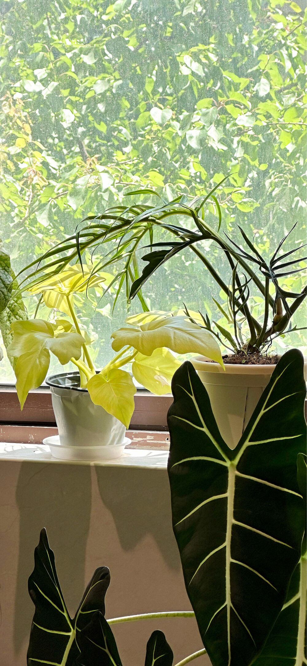 手机壁纸 | 聊天背景图 | ins风壁纸