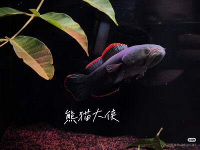 。