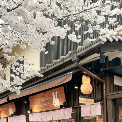 背景图